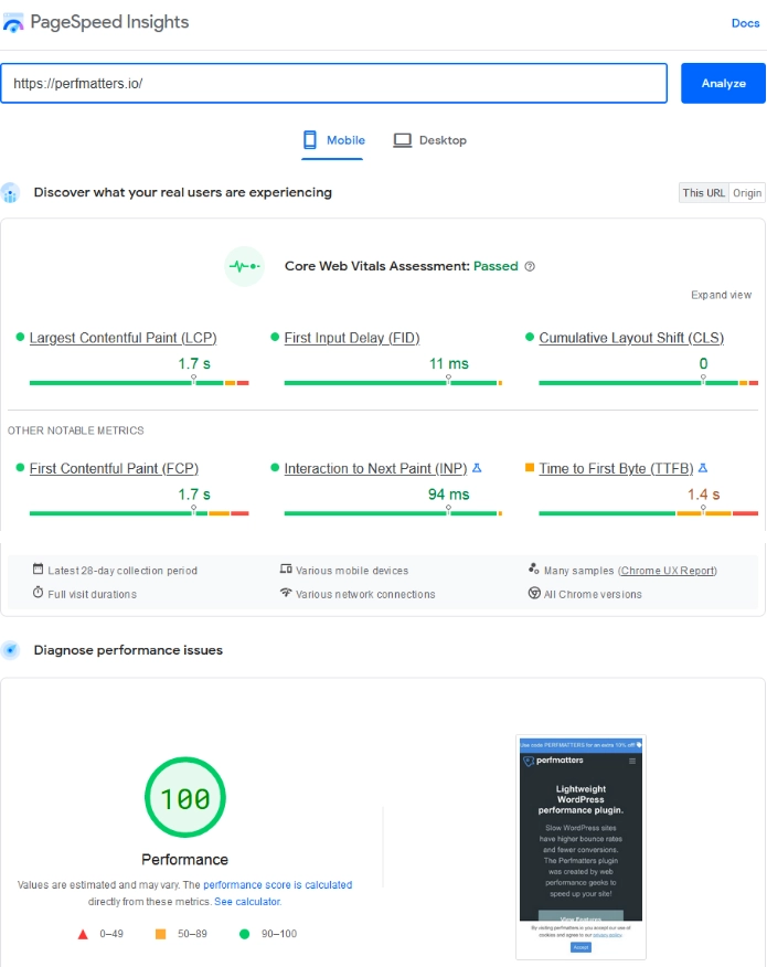 100 điểm Google PageSpeed Insights Perfmatters