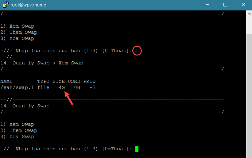 Xem Swap file trên VPS